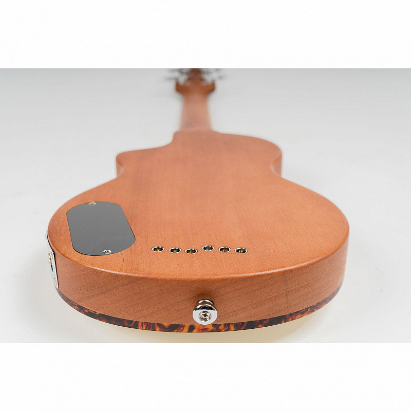 Фото Комплект с трэвел-гитарой Blackstar ( CARRION-PCK-BLK) Carry On Black