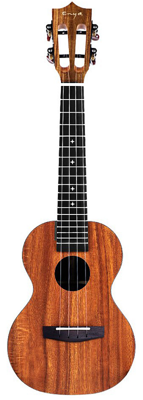 Фото Enya EUC-X1