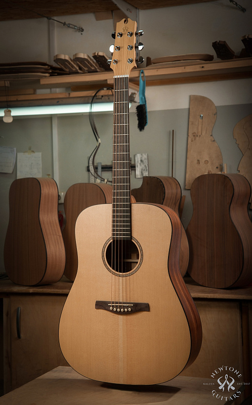 Фото Акустическая гитара NewTone NAOMI D S N 45