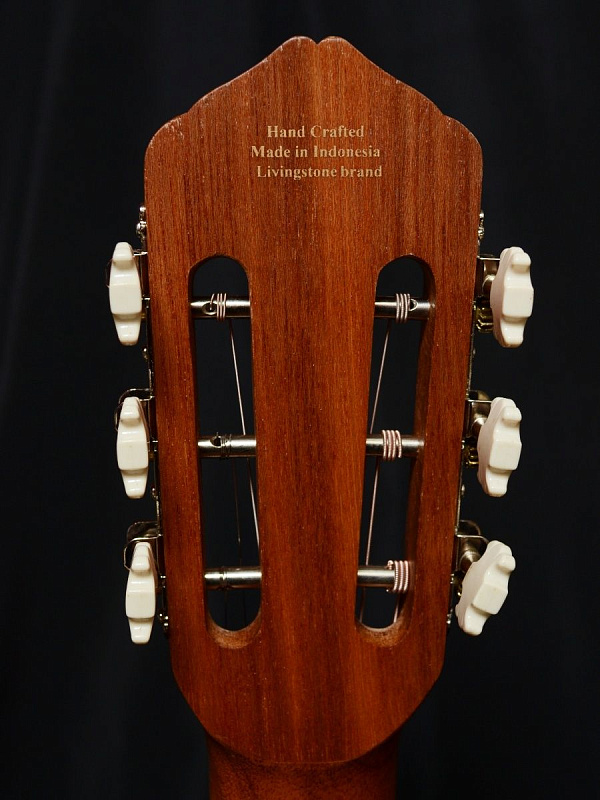 Фото Гитара Livingstone Folkblues NS EQ 39" с вырезом