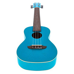 Ortega RULAGOON Earth Series