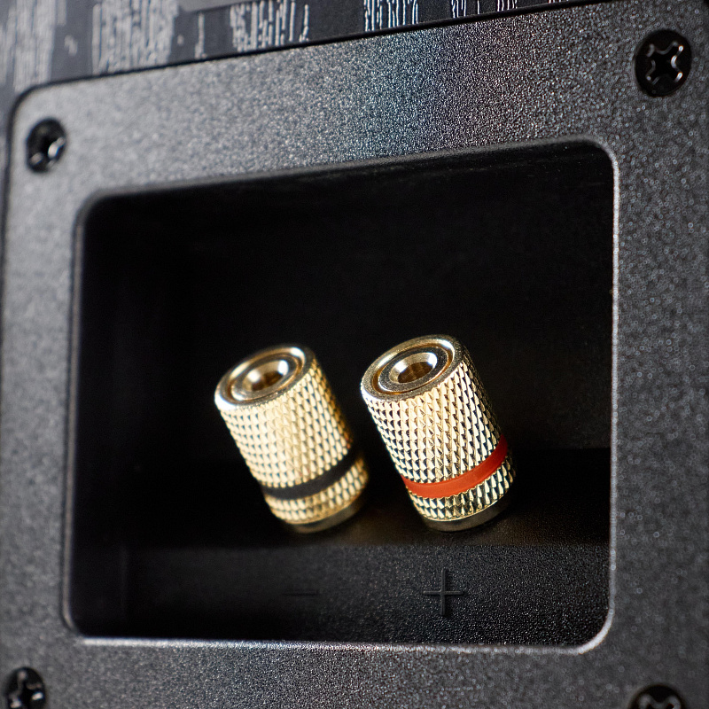 Фото Полочная акустика Radiotehnika S-20N Black Ash