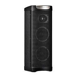 Активная акустическая система Dawn T50