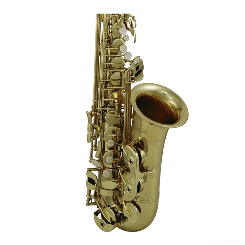 Roy Benson AS-302 Eb в магазине Music-Hummer