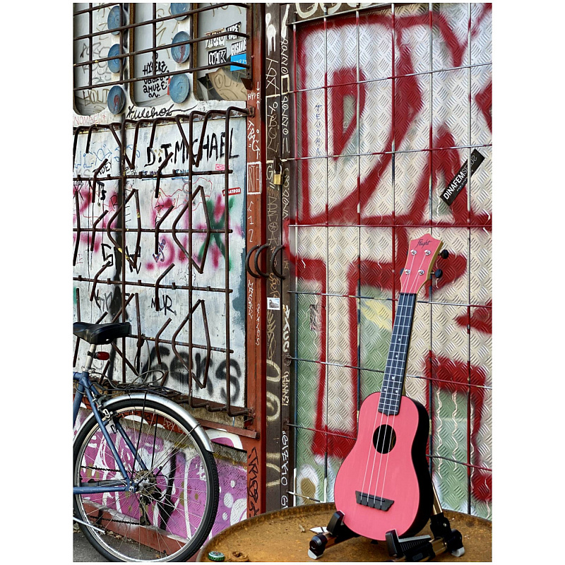 Фото Укулеле сопрано FLIGHT TUS-35 PK