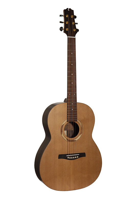 Фото NewTone Rainbow GA AS N RW