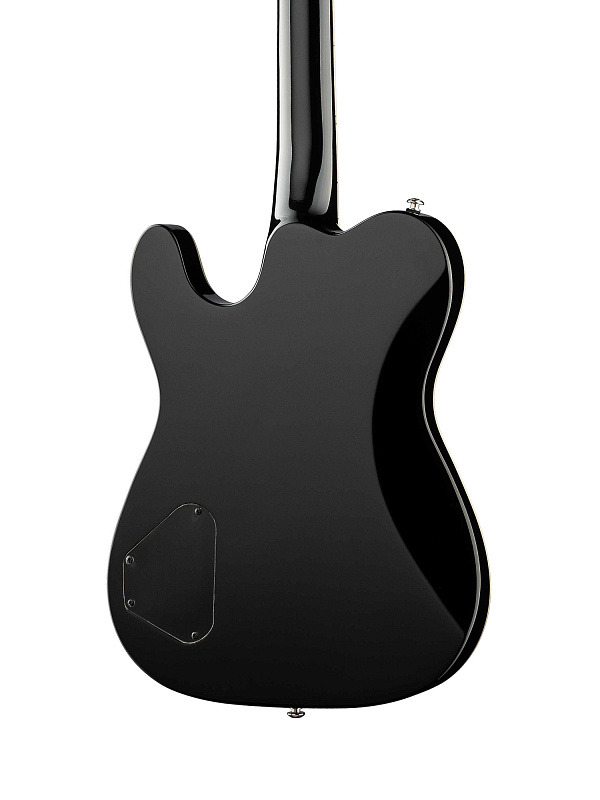 Фото Электрогитара Caraya E219RDS