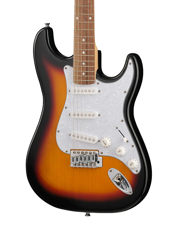 Фото Электрогитара Caraya E210BS