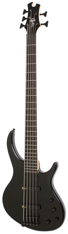 Фото EPIPHONE Toby Deluxe-V Bass (gloss) EB