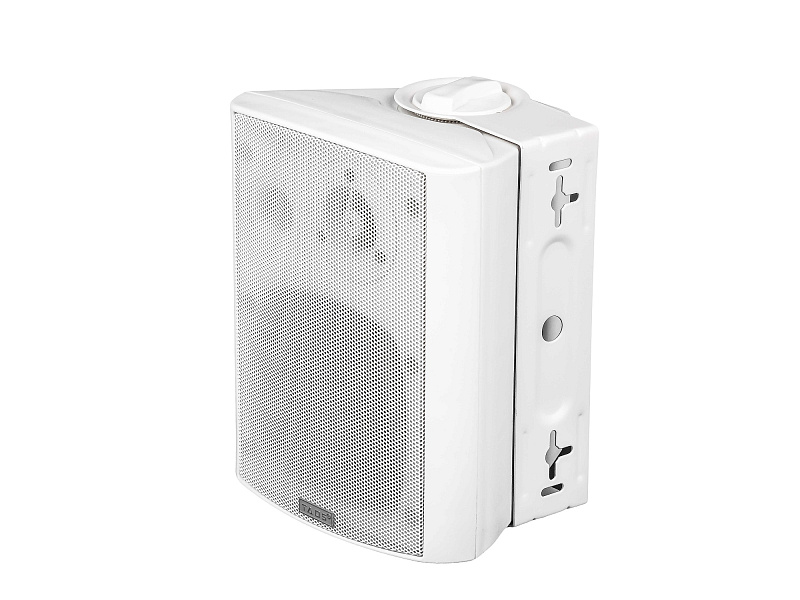 Фото Громкоговоритель TADS DS-501 настенный