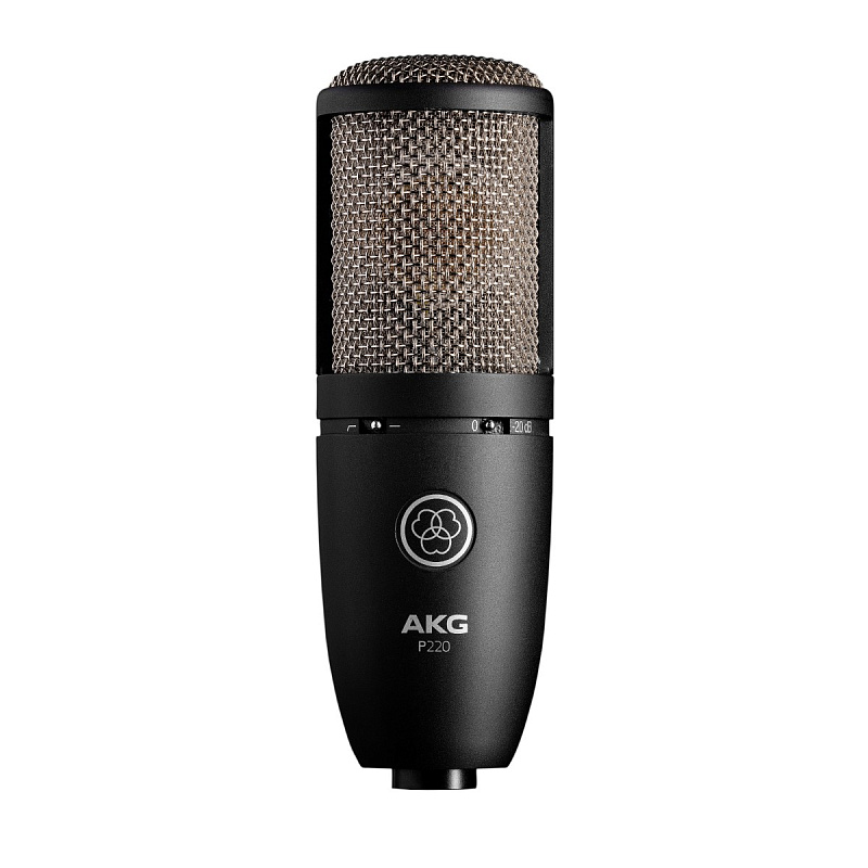 Фото AKG P220