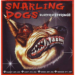 Струны для электрогитары D'Andrea SDN-11EB Snarling Dogs 11-49