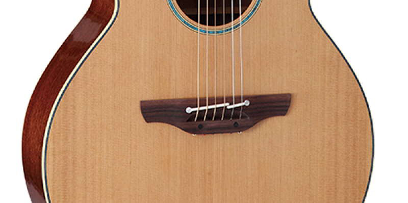 Фото TAKAMINE LEGACY TSF40C