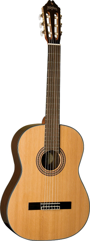 Фото Washburn C80S