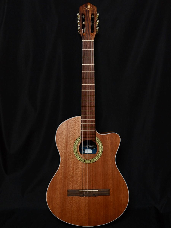 Фото Гитара Livingstone Folkblues NS EQ 39" с вырезом