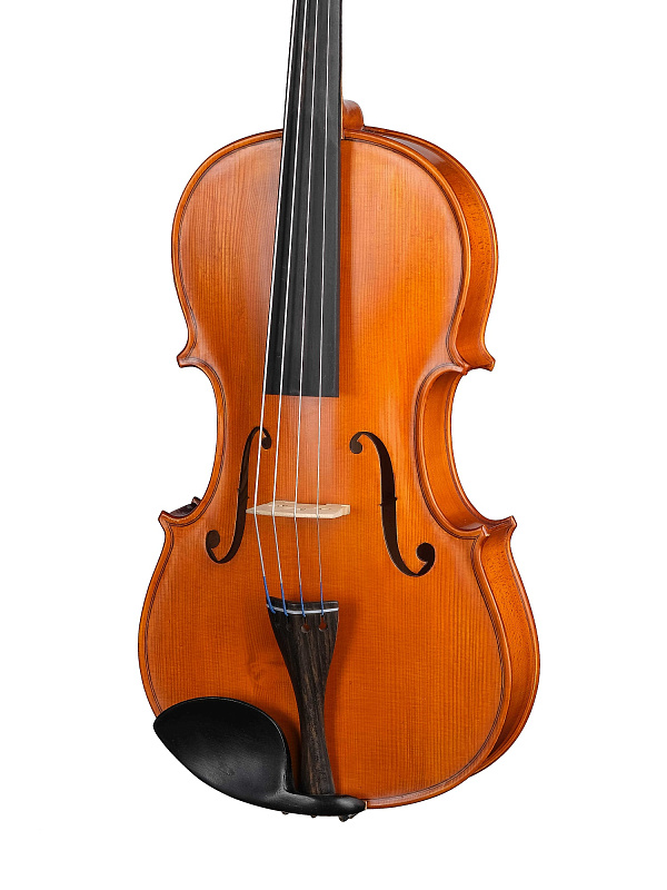 Фото Альт Gliga S-V165 Student Genial 1 Oil