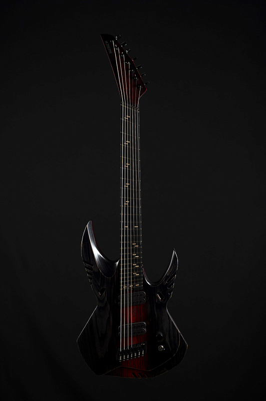 Фото Электрогитара RUSICH GUITARS Svetoch Titanium edition 