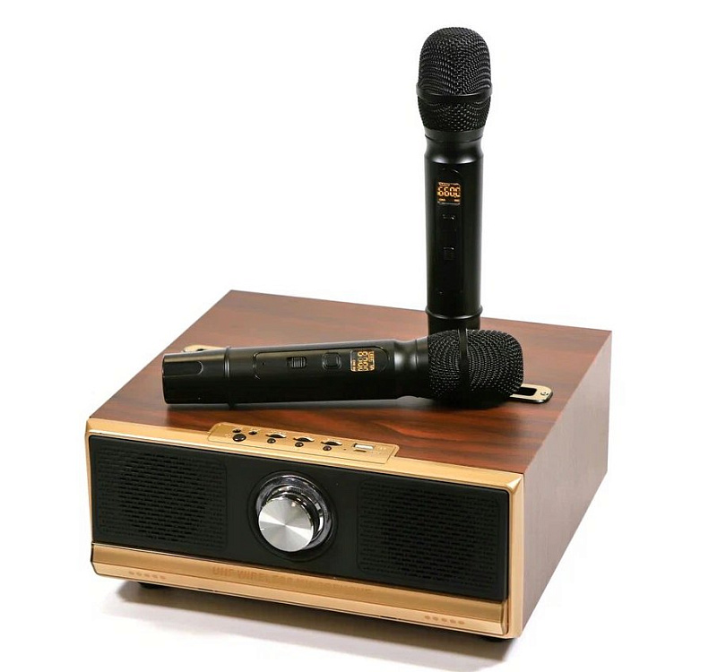 Фото Караоке с встроенной акустической системой MH Technologies Q13 PL