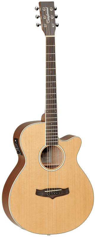 Фото Электроакустическая гитара TANGLEWOOD TW9 E