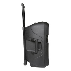 Активная акустическая система ECO VOYAGE X