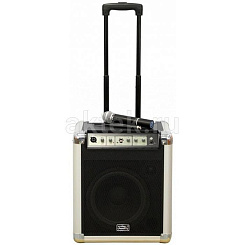 Активная акустическая система Soundking PA10W