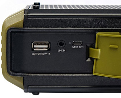 Портативная акустическая система DREAMWAVE Explorer green