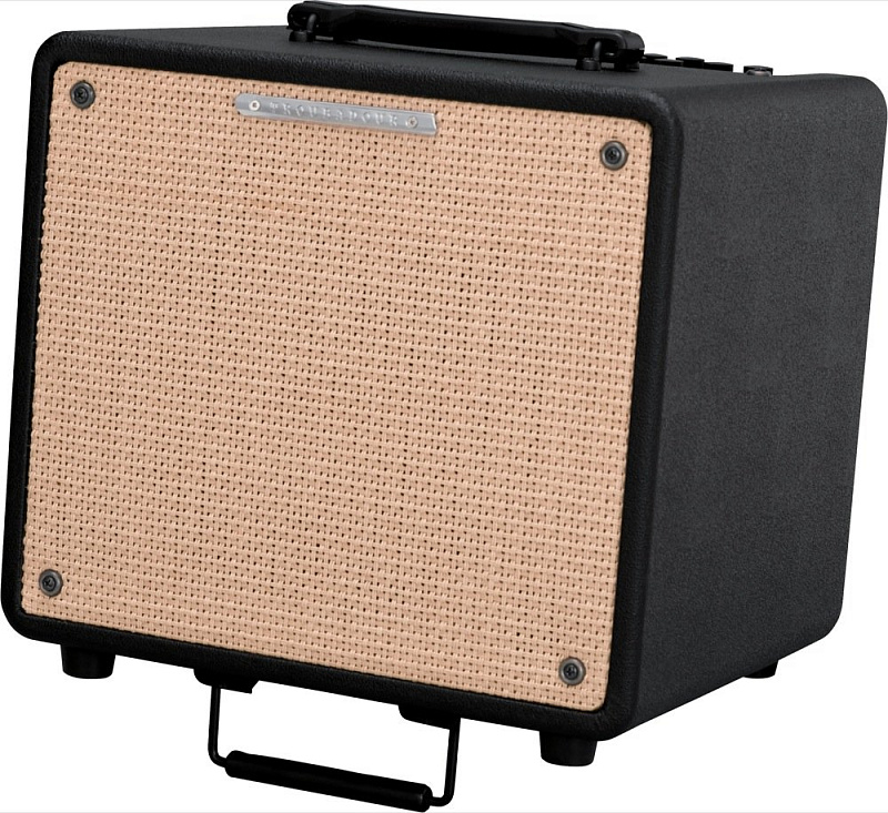 Фото IBANEZ T80II TROUBADOUR ACOUSTIC COMBO