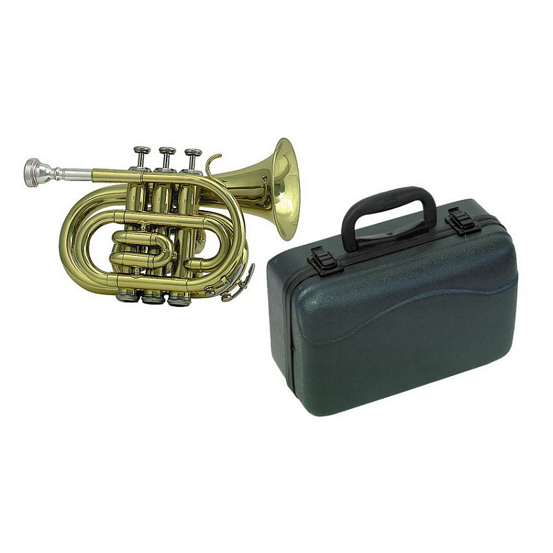 Фото ROY BENSON PT-101 Bb