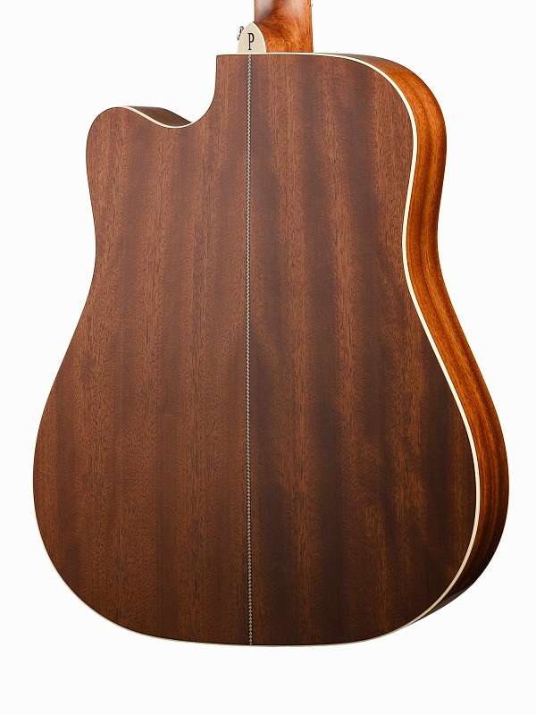 Фото Электро-акустическая гитара Parkwood P660-WCASE-NAT