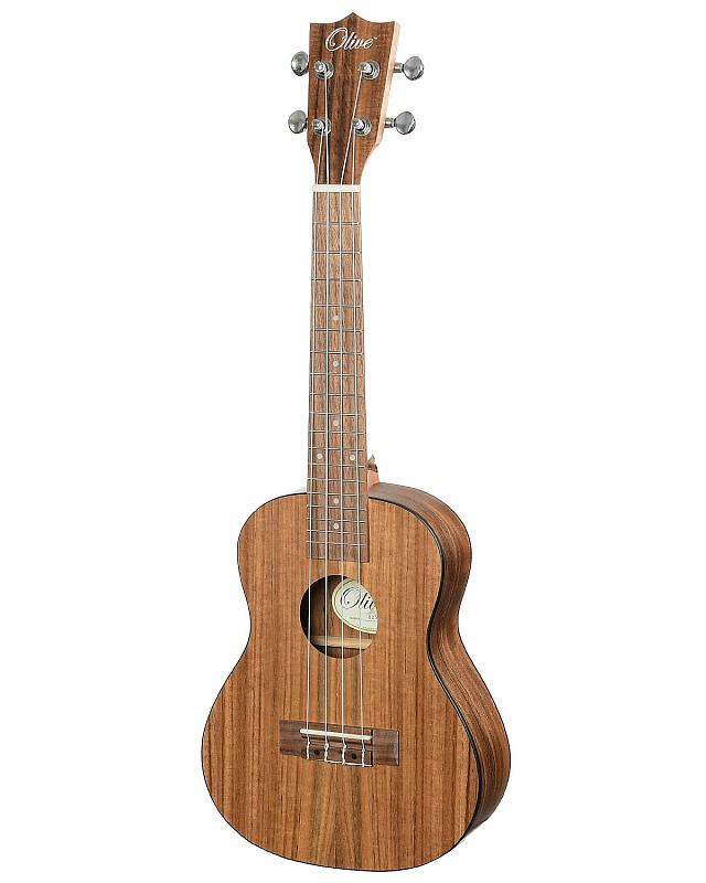 Фото OLIVE U250 24"