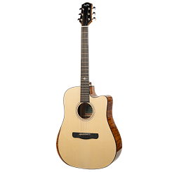 Акустическая гитара Aion Q20