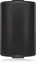 Пассивная акустическая система Tannoy AMS 5ICT LZ  